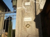 marcallo.jpg