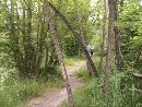 Preview HPIM0988