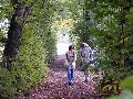Preview f13