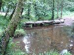 Preview 09ribadiso