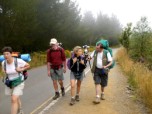 Preview 11d