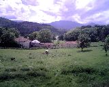 Preview 01montrejeaupan