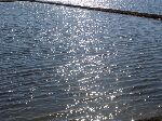 Preview 07il mare a quadretti
