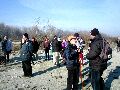 Preview 04240007